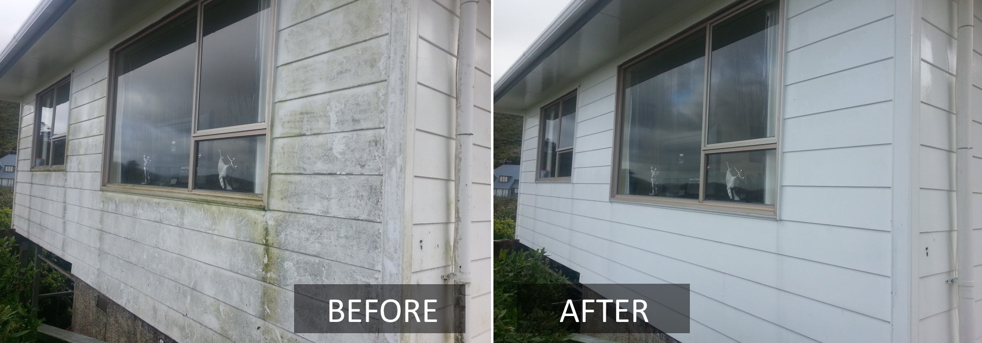 House washing Wellington Exterior house cleaning Lower Hutt