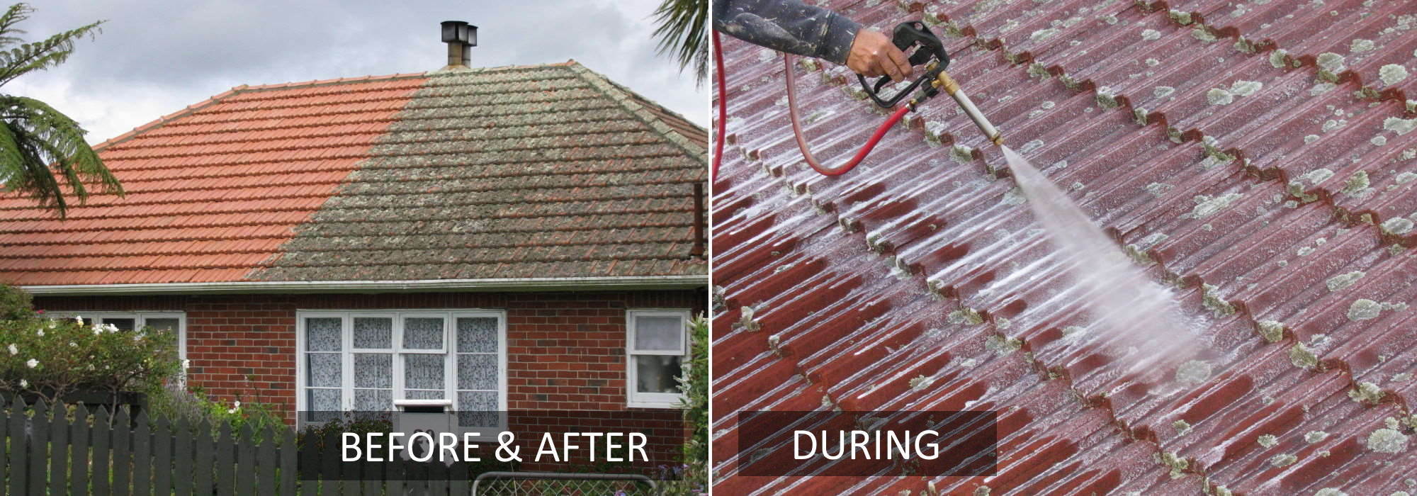 Roof cleaning Wellington Roof treatment Lower Hutt